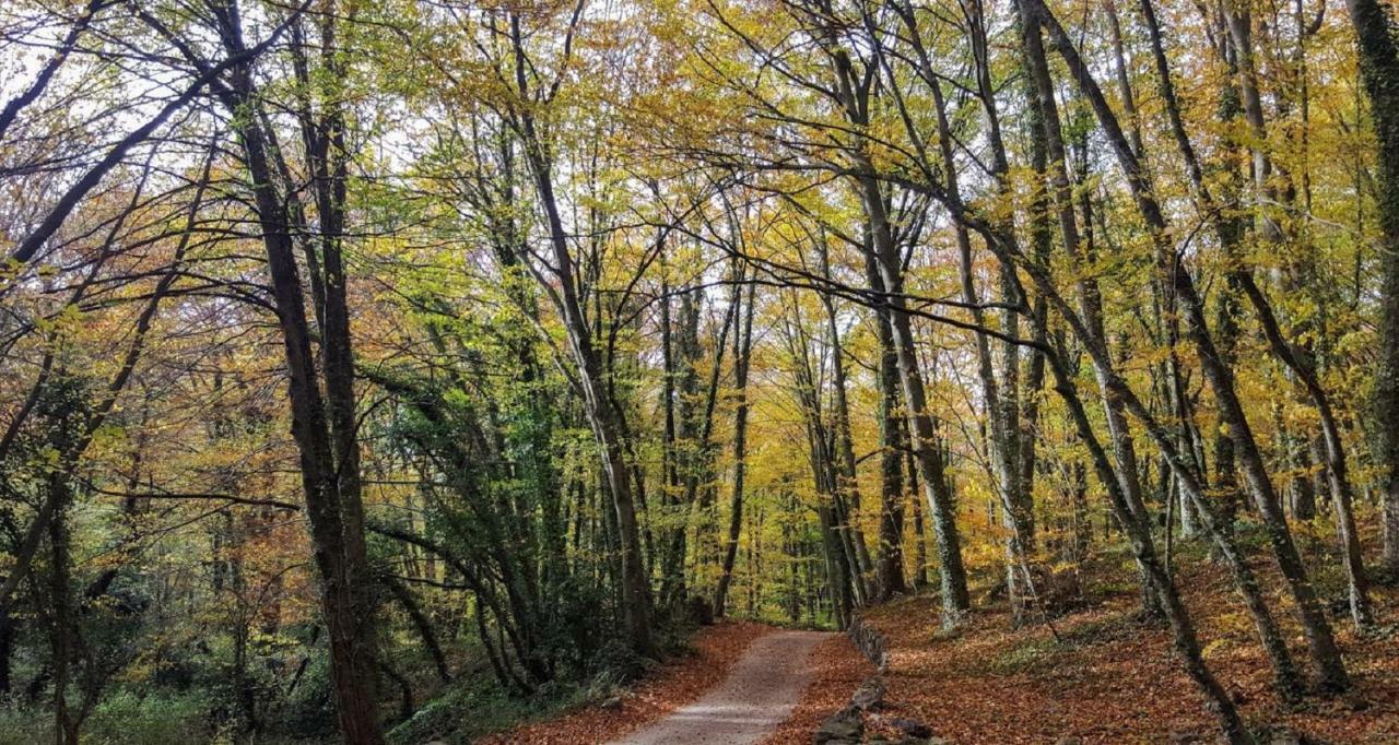 Can Costa Olot Dış mekan fotoğraf